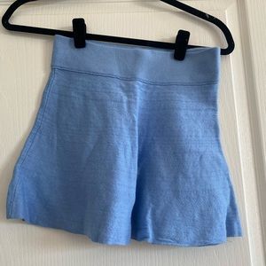 Aritzia mini blue skirt